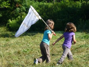 Butterfly Hunting